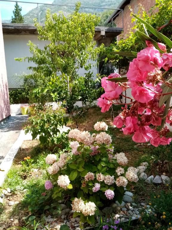 Гостевой дом GUEST HOUSE ZLATA Сутоморе-46