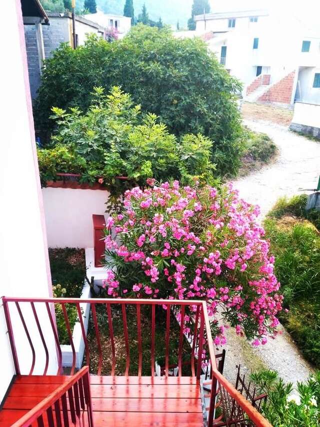 Гостевой дом GUEST HOUSE ZLATA Сутоморе-18